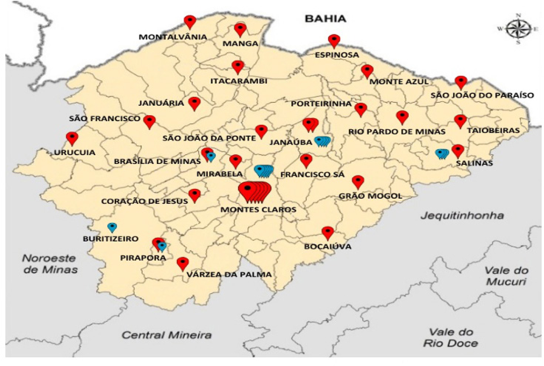 Figura 1. Agências Transfusionais (vermelho) e Assistências Hemoterápicas (azul) do Norte de Minas Gerais – vinculadas ao Hemocentro Regional de Montes Claros/ Fundação Hemominas.